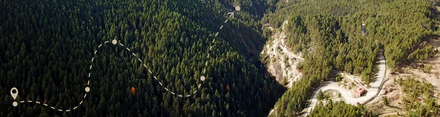 rumiant consultoria estratègica de desenvolupament de projectes al món rural