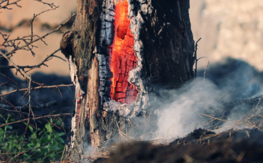 rumiant-desenvolupament-rural-incendis-forestals-prevencio