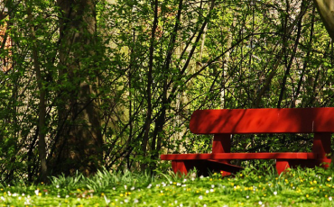 rumiant-mon-rural-sinergies-xarxa