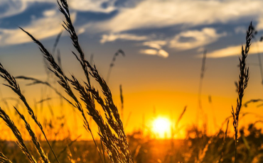 rumiant-crisi-sector-primari-catalunya