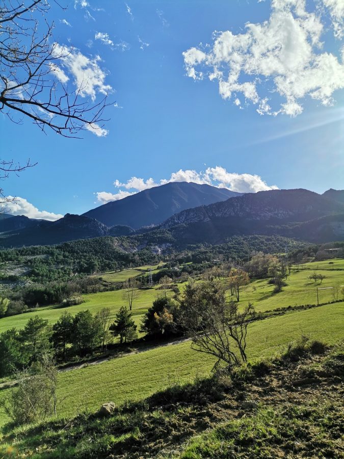 Imatge de WhatsApp 2025-05-01 a les 19.45.38_de132435