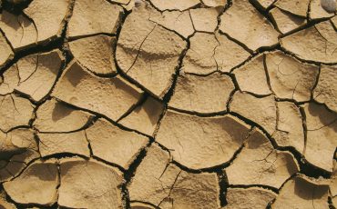 pexels-francesco-ungaro-1710813