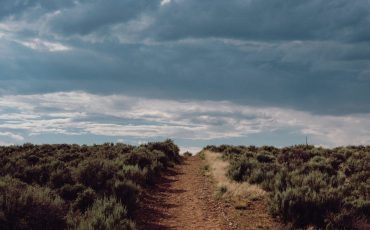 pexels-alfo-medeiros-17493881